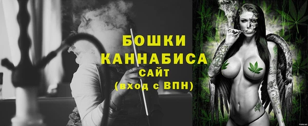 молекула духа Михайлов