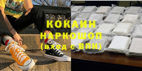 молекула духа Михайлов