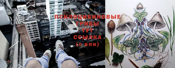 кокаин Михайловка