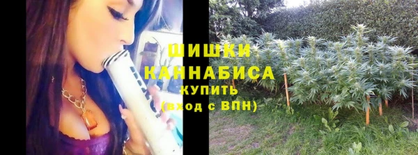 молекула духа Михайлов