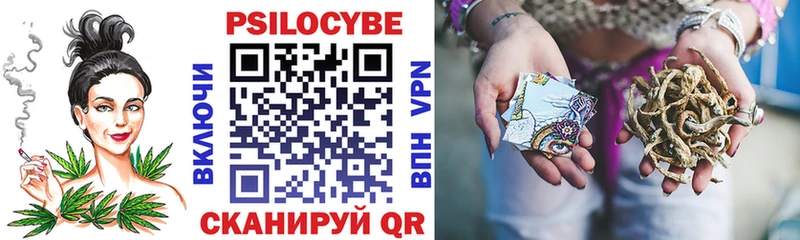 Псилоцибиновые грибы Psilocybe  Купить где  Нижняя Салда 
